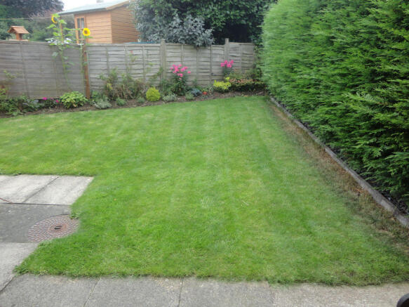 Photo 5