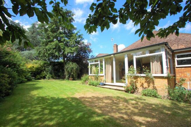 Garden 1