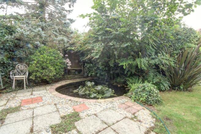 Pond area