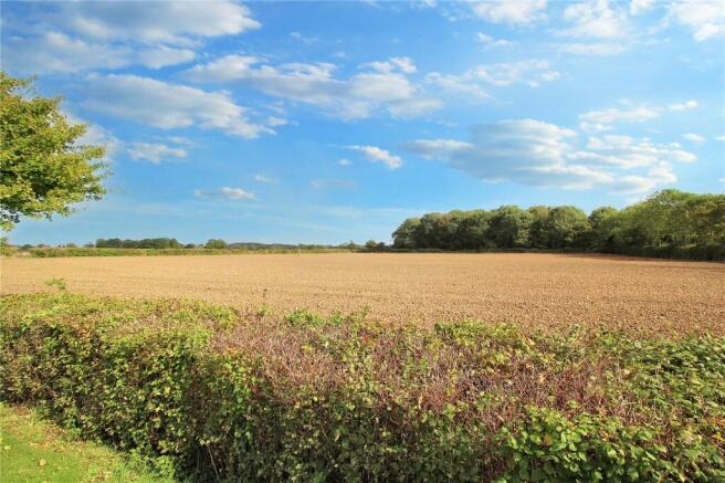 Field Views
