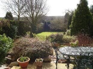 Garden from Lounge