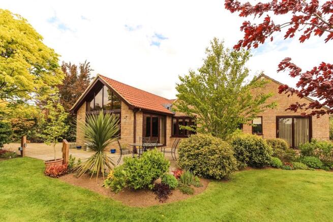 View of Property at Back