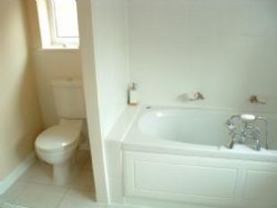 Modern Bathroom