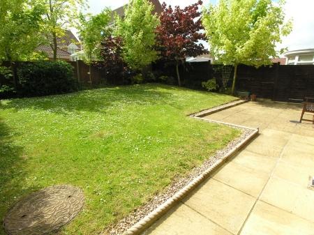 Photo 15