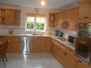 Kitchen Shot 2