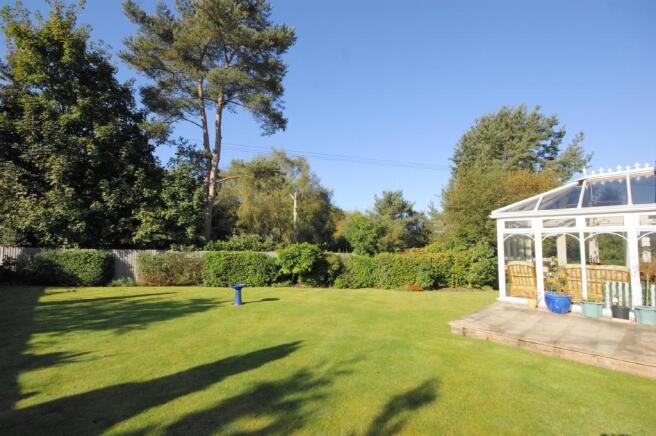 Lovely Garden