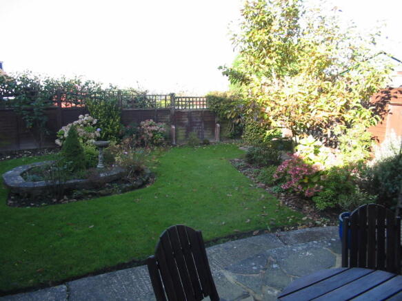 Photo 5