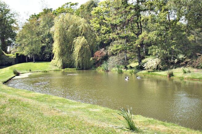 Pond