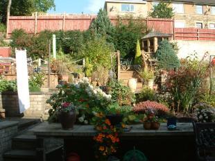 rear patio/garden