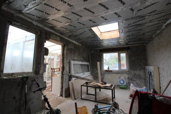 IMG 8462  Medium  T202603251454.jpg