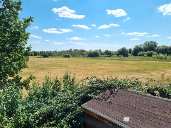 Meadow View