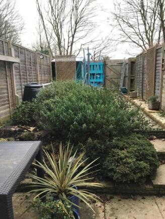 Patio & Garden