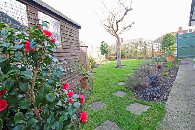 SIDE GARDEN