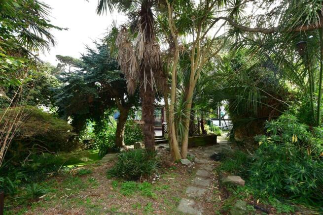 Rear Garden (Original)