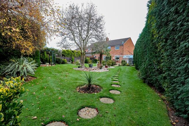 Garden at Back