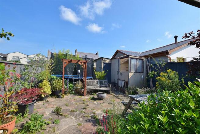 garden 3.jpg