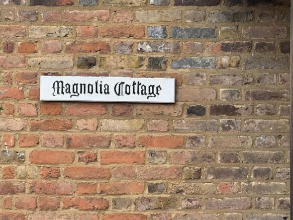 Magnolia.jpg