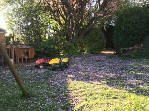 REAR GARDEN IMAGES