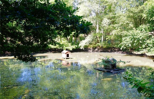 Pond