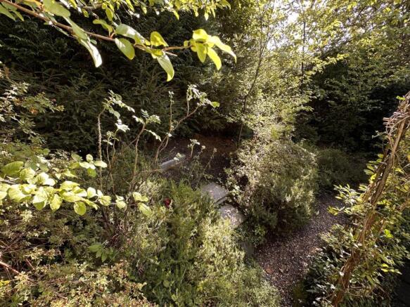 Garden.jpg