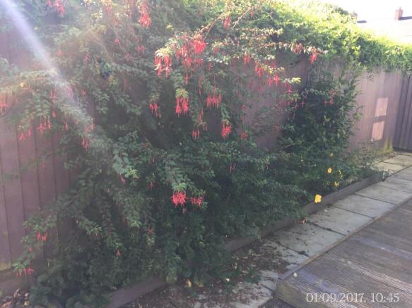 Photo 17