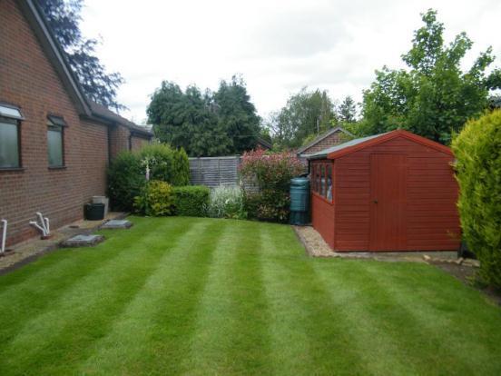 Side Lawn