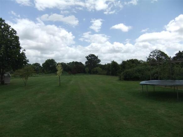 Field
