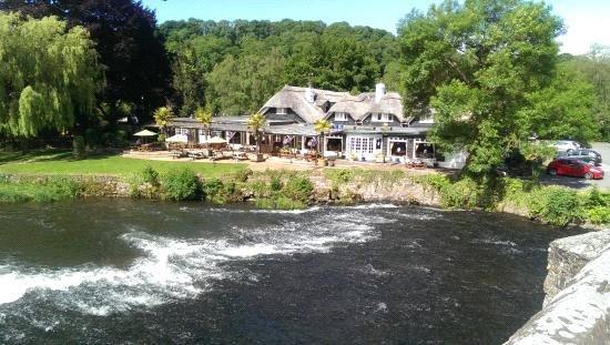 Bickleigh Seddons