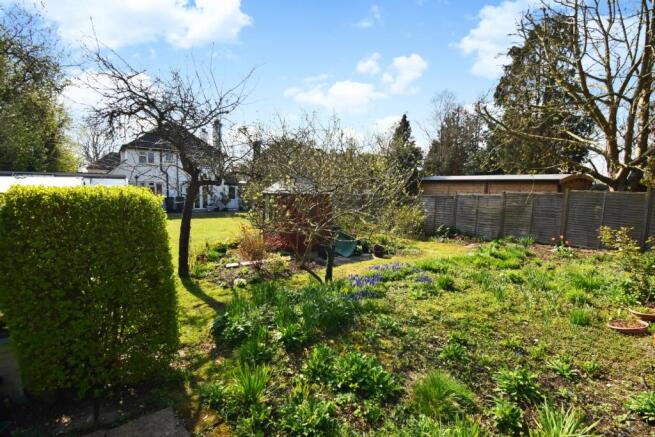 Rear of garden