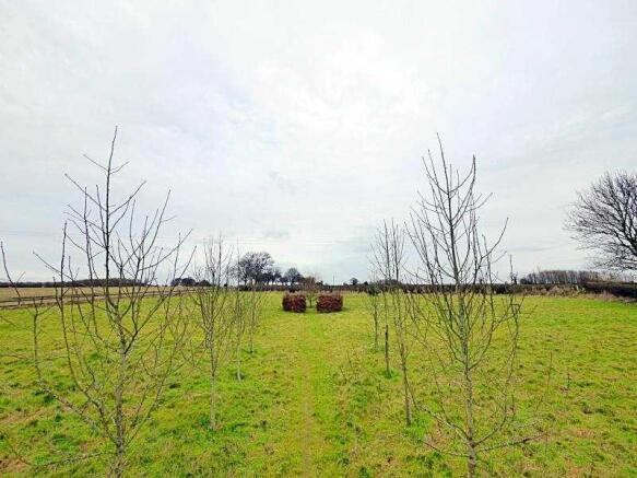Orchard garden