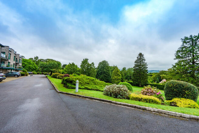 Owner Driveway