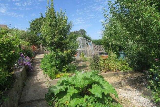 Vegetable Area