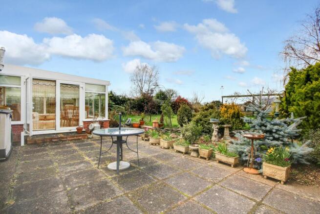 Garden at Back