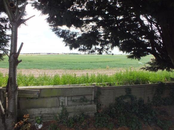 Garden/land