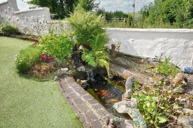 Fish Pond