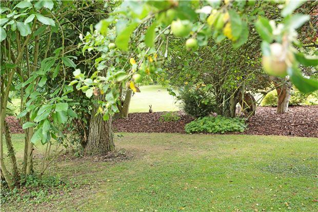 Ivy Cottage 132033 ph (16)