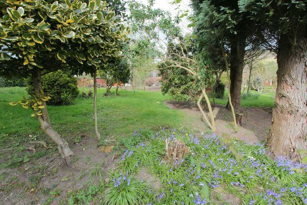 Garden..