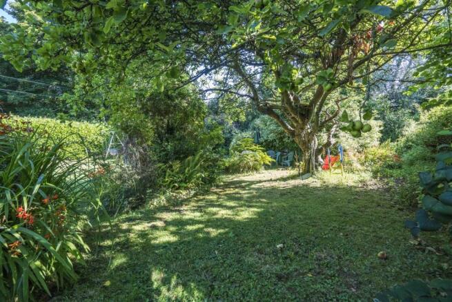 Garden 4.jpg