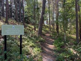 Greensand, Puttenham Road, Farnham GU10 1HP