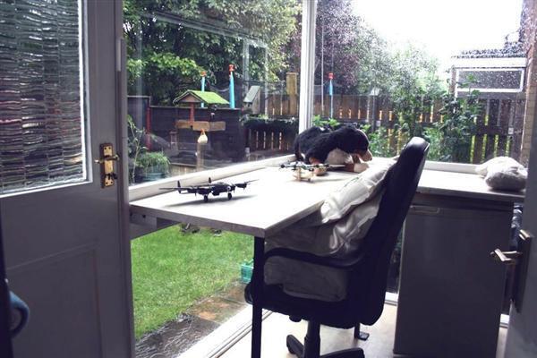 Photo 16
