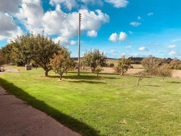 Orchard 1.jpg