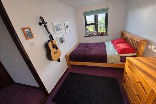 Picture 19