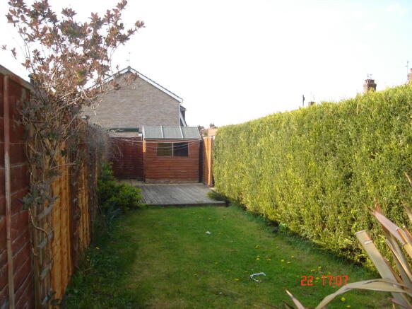 Back Garden 2