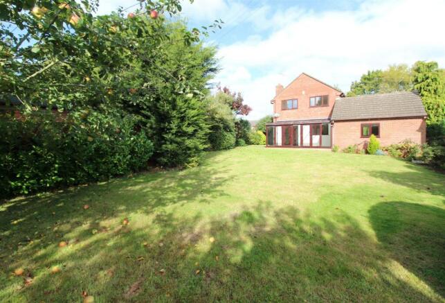 Garden facing towards house.jpg