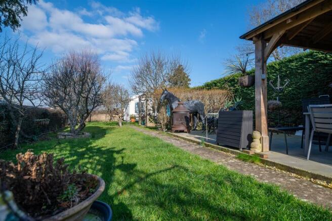 garden 3.jpg
