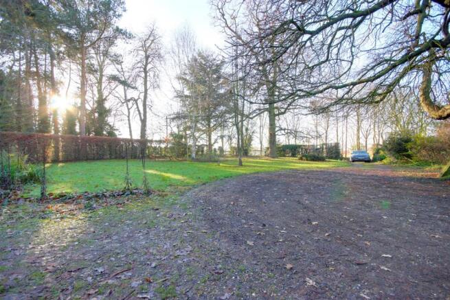 Front & Driveway