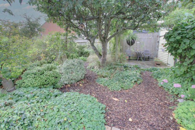 Photo 15