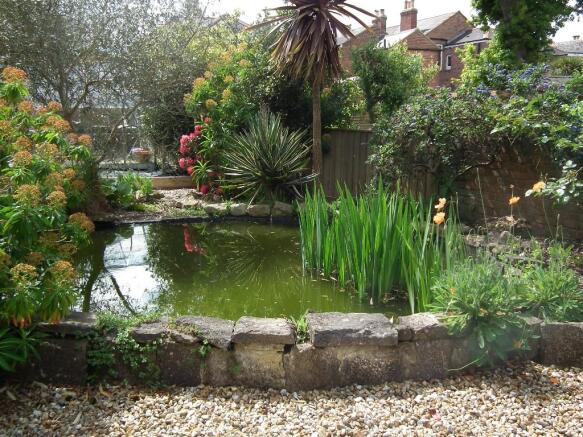 Photo 22