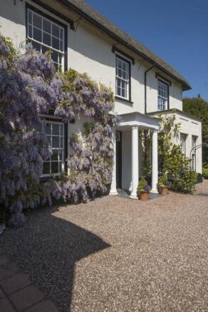 Wisteria feature