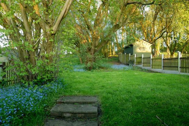 Garden 5